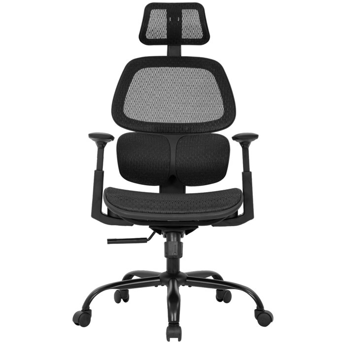 Inbox Zero Ergonomic Mesh Task Chair & Reviews Wayfair